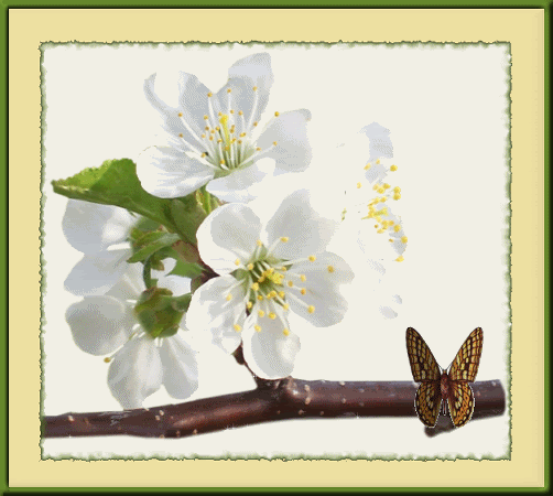 scrapbook with flowers wishes