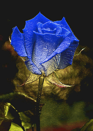 virtuale dedications to twosome