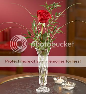 present letters of flowers wishes