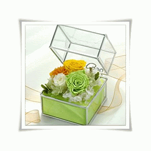 affection of sentimientos