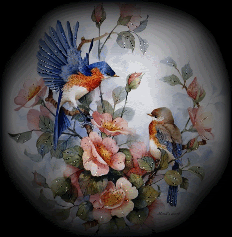 evolve drawings of flowers wishes