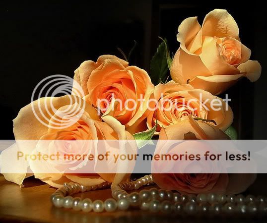 sentence to boyfriend