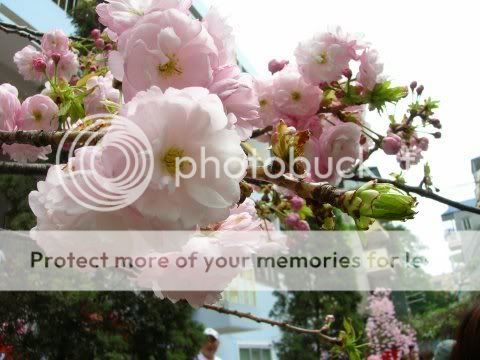 plus letters to twosome