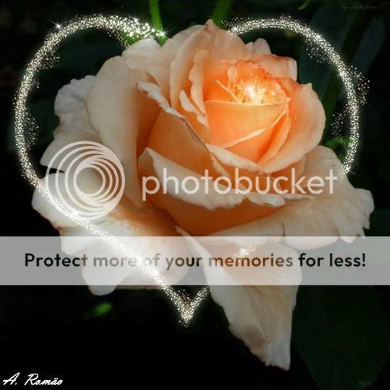 comment of flowers wishes