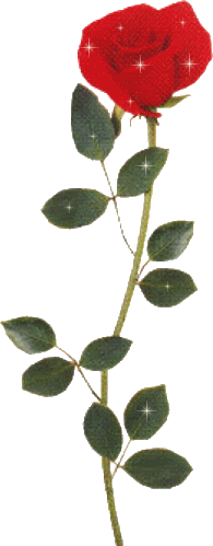 affection of flowers wishes