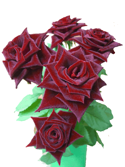 card with flowers wishes