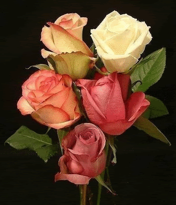 letter with artistry