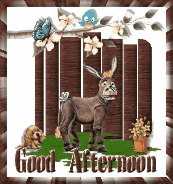 collection of good afternoon