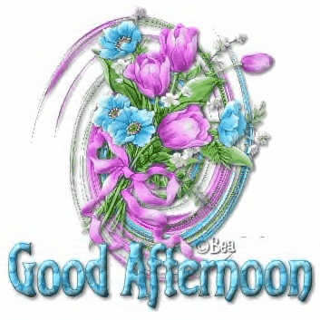 Shoutbox with good afternoon