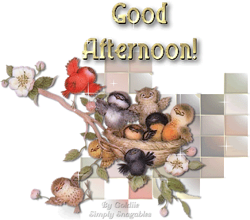 sketch-book of good afternoon