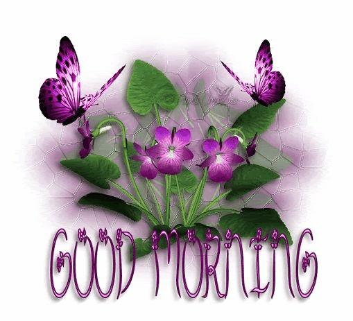 free proverbs to conjunct