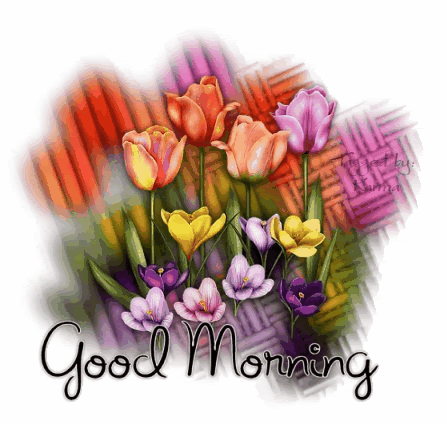 texts to good morning