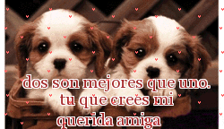 los amigos e mis novias