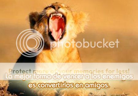 reflexión de amistad