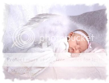 las celebridades divertido