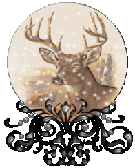 reuniones interesante