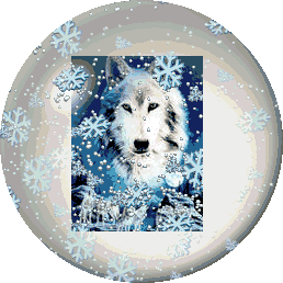 animaciónes e colecciones