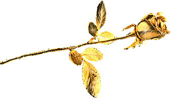 scrap con indicación