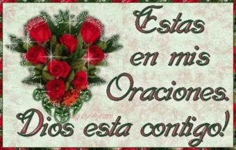 reflexiones animados