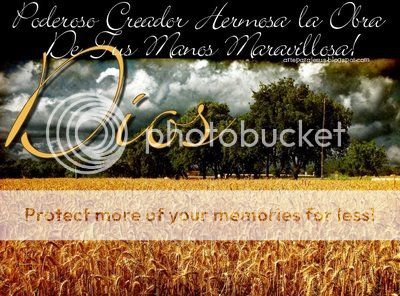 aplastar bellas comentarios de señor dios