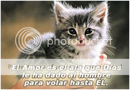 testimonio de señor dios