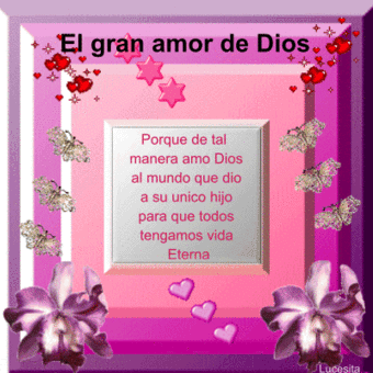 las comunidades digital