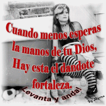 proverbios divertido para Orkut