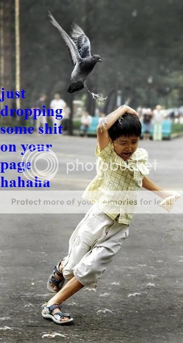 funny messages. funny messages. funny messages.
