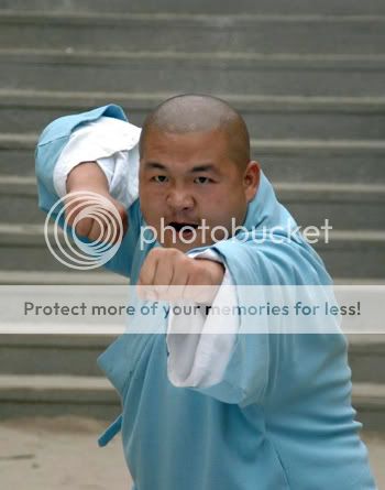 tl4.jpg picture by beijing20072