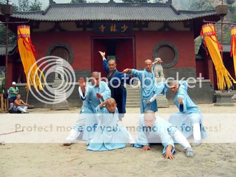 tl9.jpg picture by beijing20072