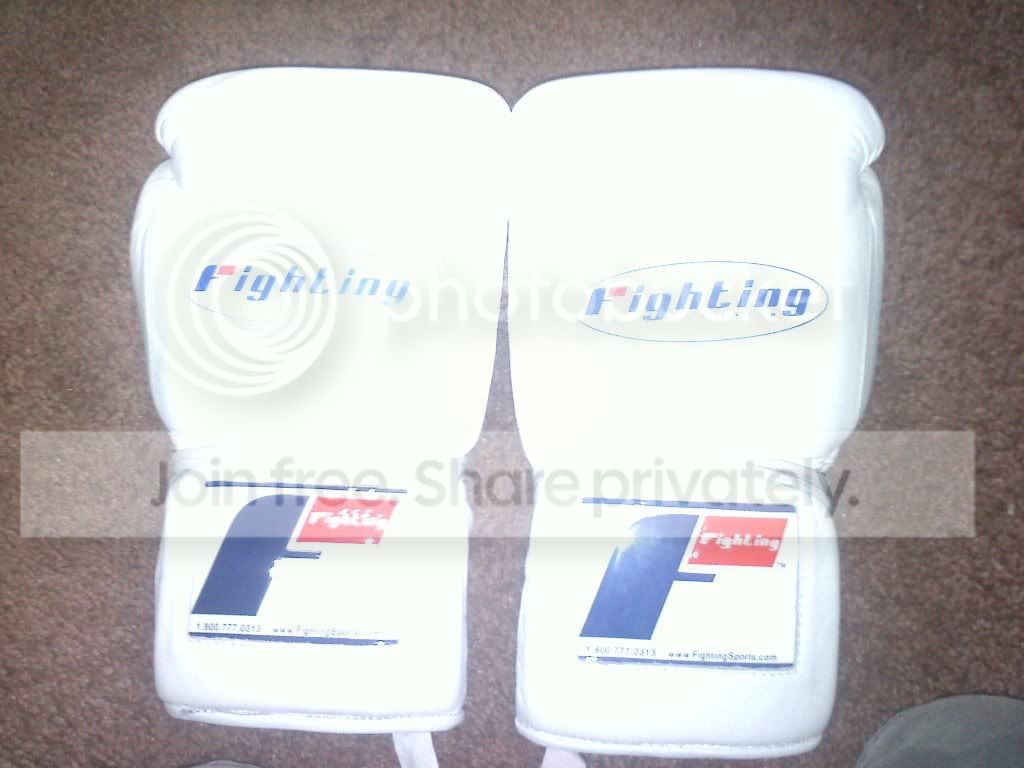 fighting sports pro training gloves