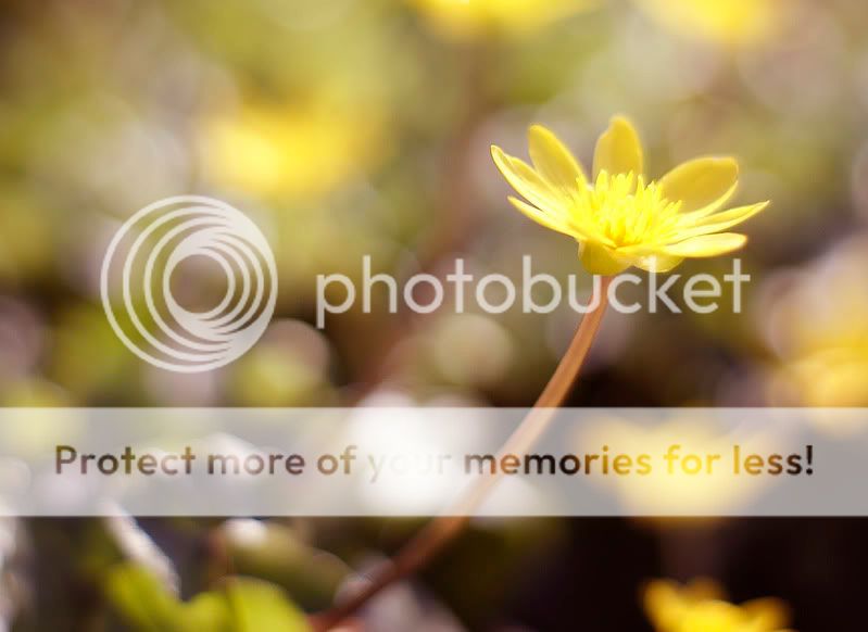 Fotografie