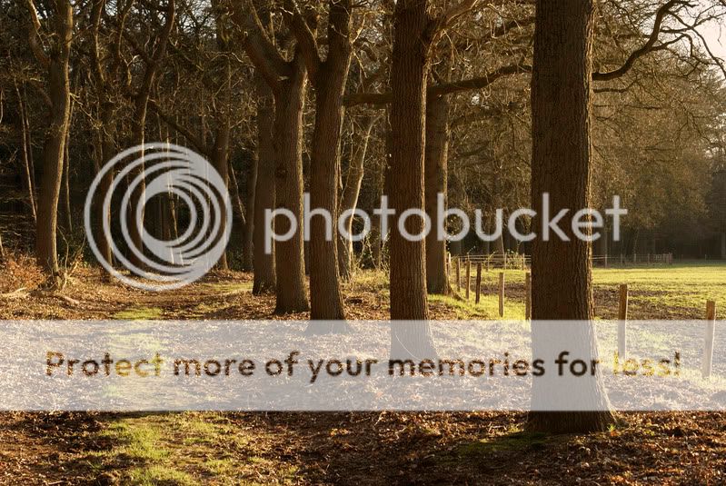 Fotografie