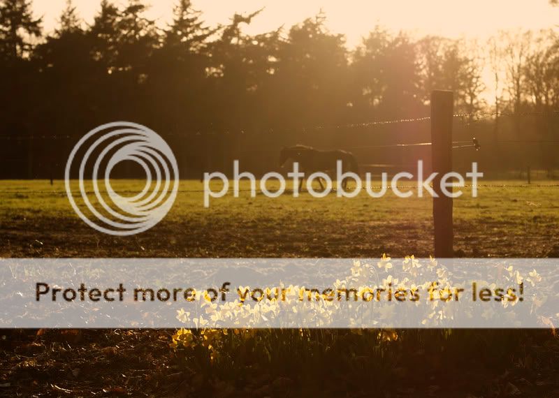 Fotografie