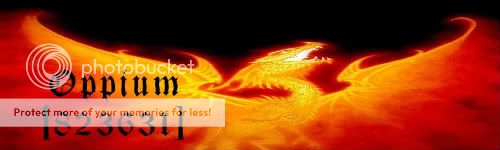 firedragon-1.jpg