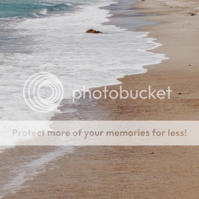 photo photo6_zps0b738f8b.jpg
