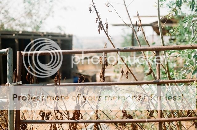 photo a52f351e-6582-49d9-b3a0-b413e44b857f_zpsd006b654.jpg
