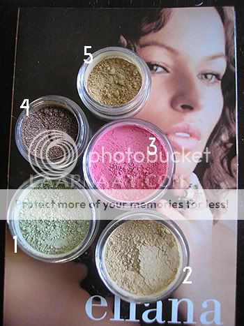 Ellana Mineral Makeup. I purchased these: 1 Mineral Concealer (innocence, 
