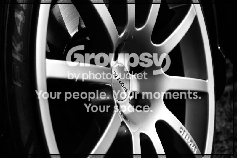 Leon-Sportec-close-up.jpg